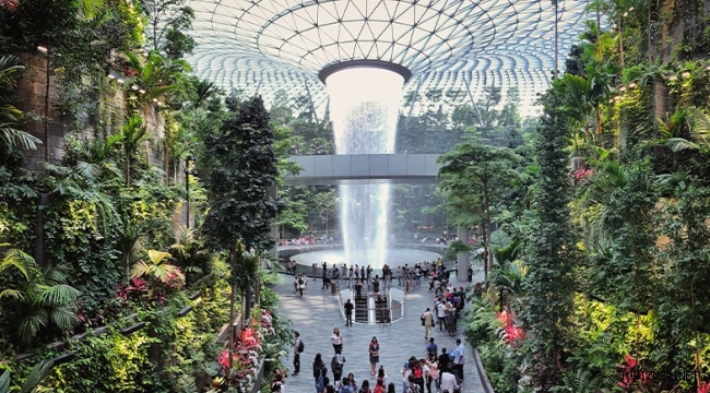 Singapur Changi: Teknoloji sorunları ve gecikmeler yaşayan 'dünyanın en iyi havalimanı'
