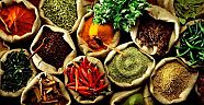 Urla Gastronomi Turizmine Aday